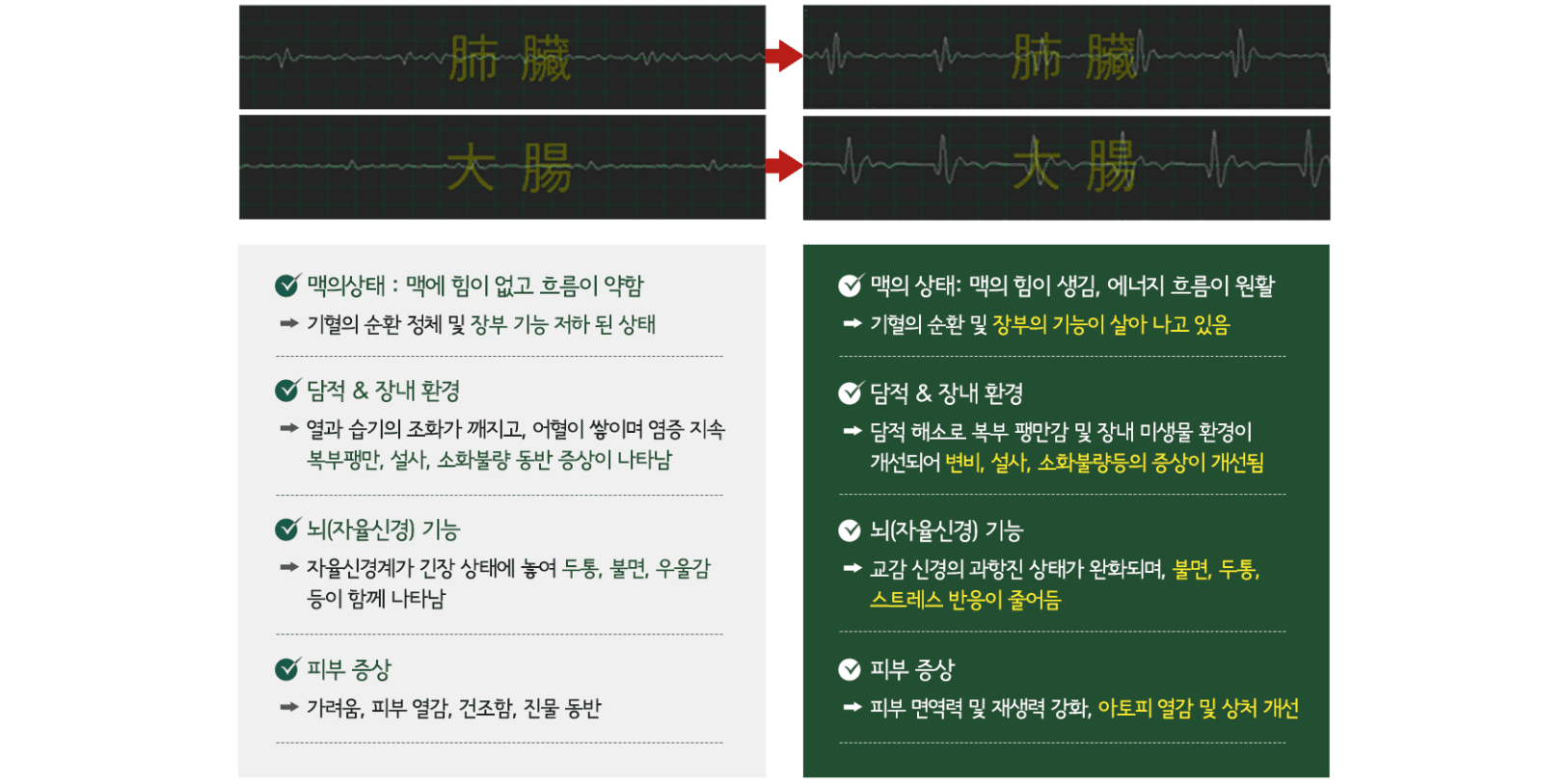 脉波检查 治疗前后(皮肤)