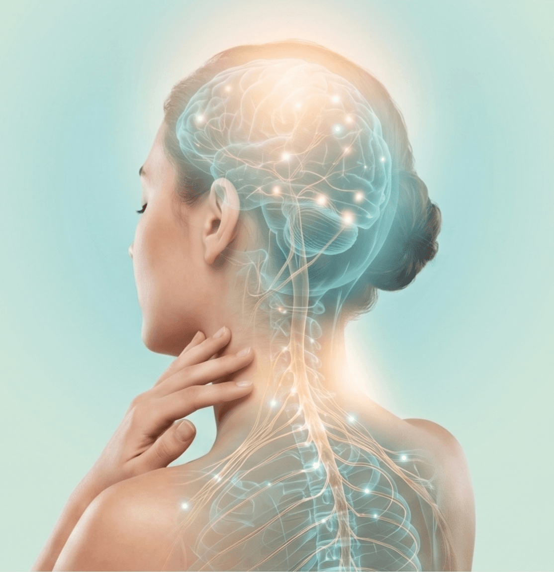 Brain & Autonomic Nerve Recovery Program