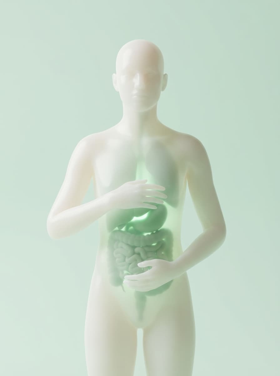 Detox & Regeneration Program